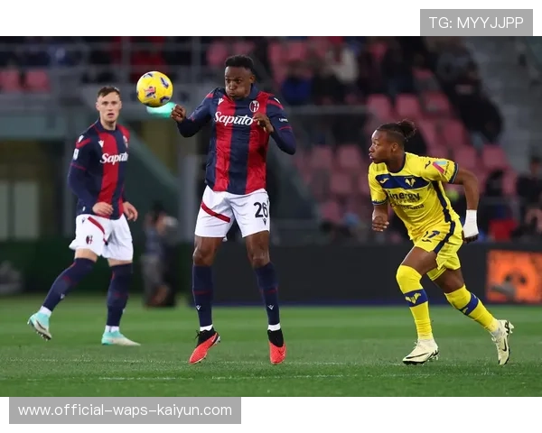 意甲若提高裁判专业度，比赛公平性显著提升